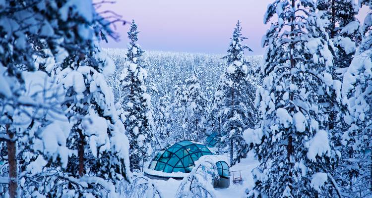 Sneeuwbedekt bos met glazen iglo's zichtbaar tussen de bomen.