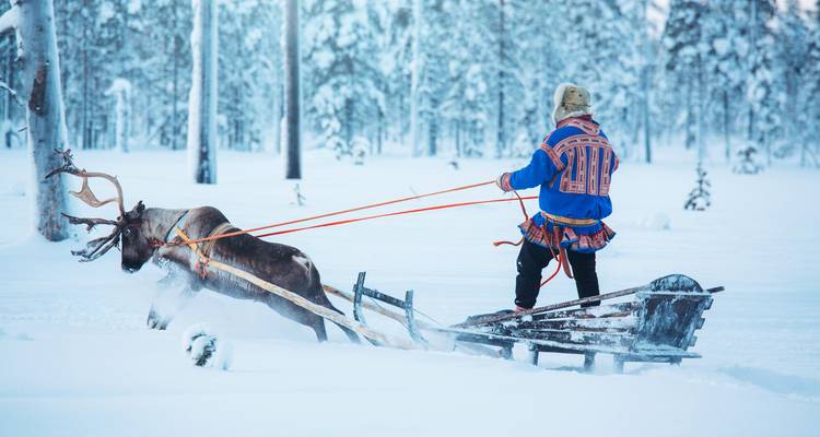 Persoon die op een slee rijdt die door een rendier door de sneeuw wordt getrokken.