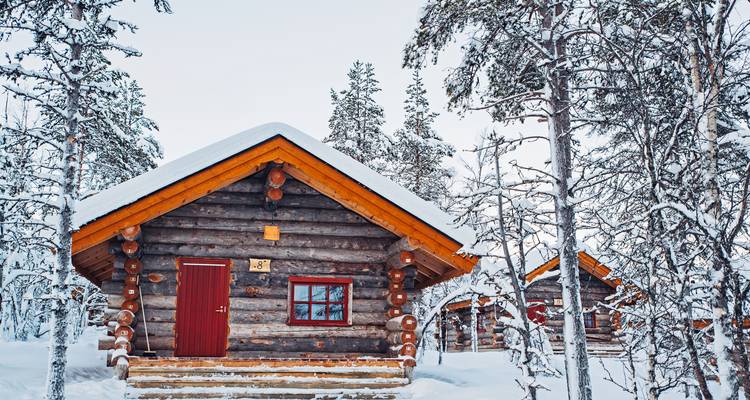 Blokhutten omgeven door met sneeuw bedekte bomen.