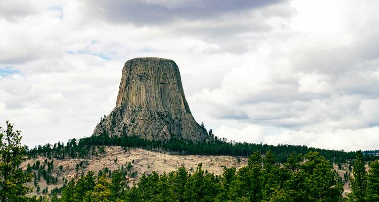 Devils Tower rock formation with forest in the foreground.