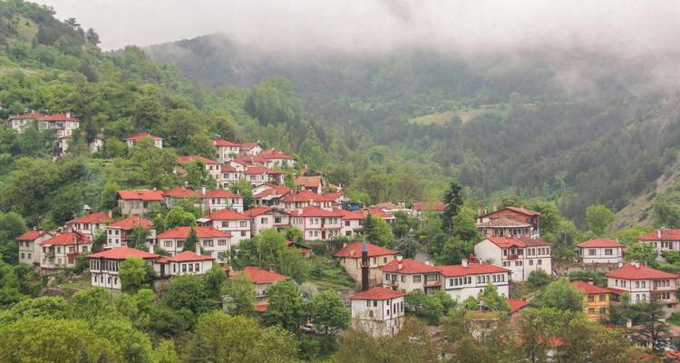 Een pittoresk dorp op een heuvel met rood-betegelde huizen en groen.