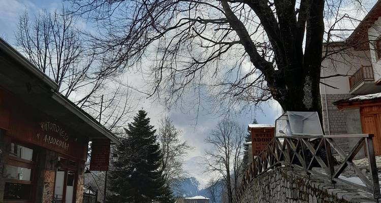 Een straatbeeld met bomen, een houten leuning en een bewolkte hemel.