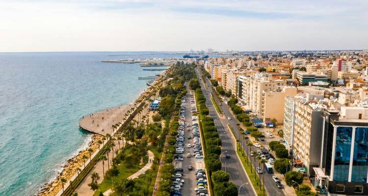 Boulevard costero aéreo de la ciudad con palmeras y paseo marítimo frente al mar.