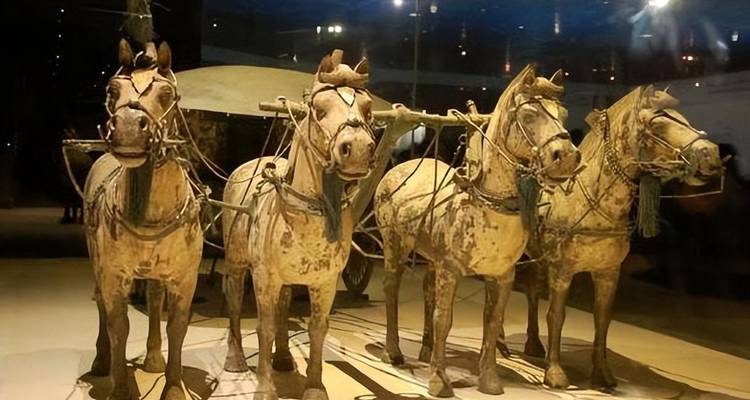 Terracotta krijgerspaarden tentoongesteld in een museum.