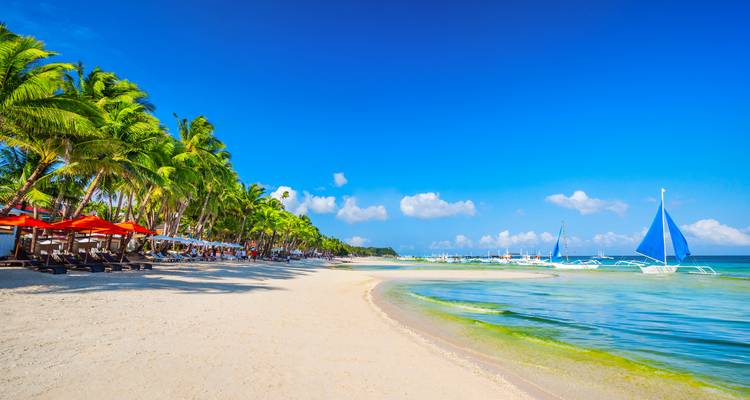 Magnifique plage tropicale avec palmiers et eau bleue cristalline.