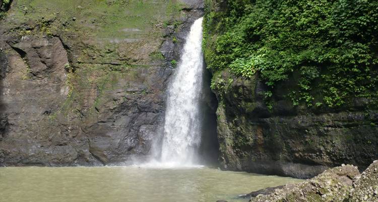 Majestueuse cascade entourée d'une végétation luxuriante.