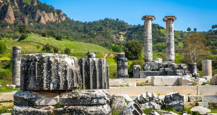 Ruines d'un temple antique entouré par la nature.