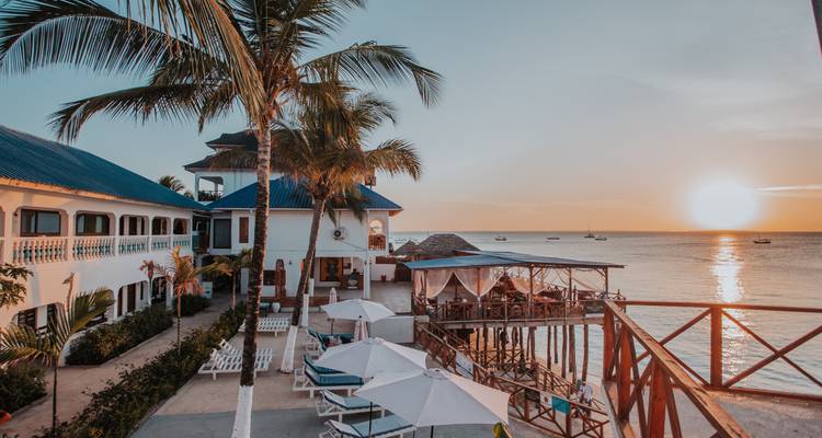 Station balnéaire au bord de la plage avec des palmiers contemplant un coucher de soleil.