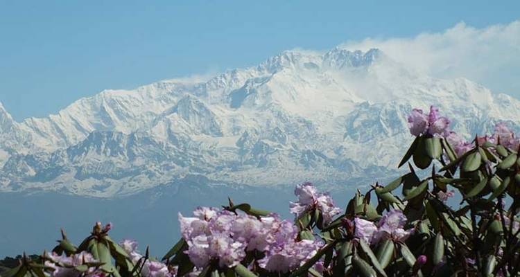Darjeeling, Sikkim et la crête de Singalila - Exodus Adventure Travels 3
