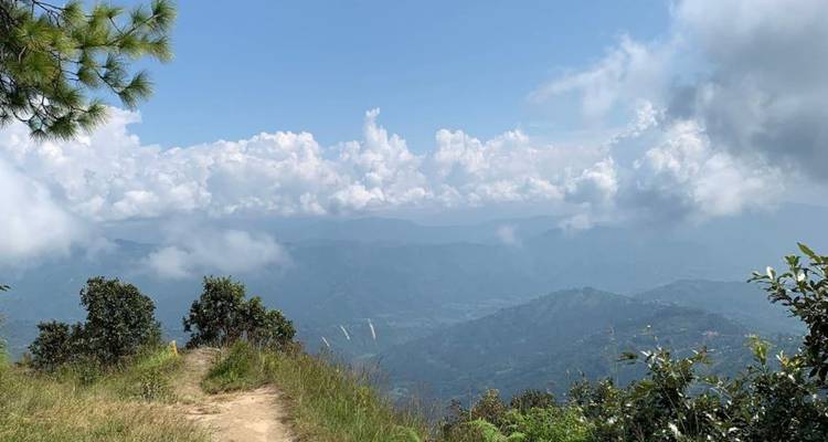Sentier de montagne entouré d'un feuillage luxuriant et d'un ciel dégagé.