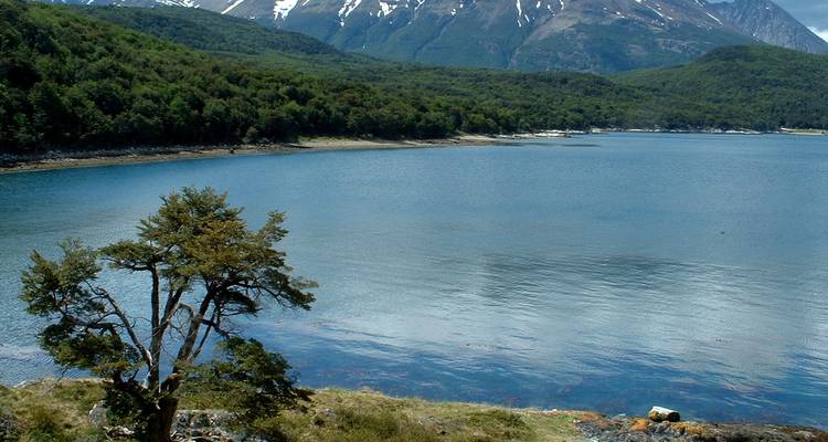 Lac de montagne serein entouré d'une forêt dense et verte sous des sommets enneigés près d'Ushuaia