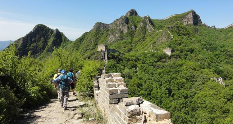 Excursionistas caminando por la Gran Muralla China con un exuberante entorno verde.