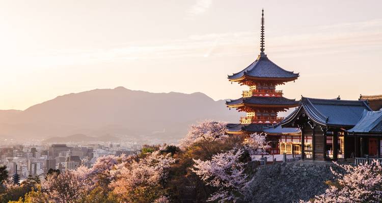 Flores de cerezo con una pagoda y montañas de fondo.