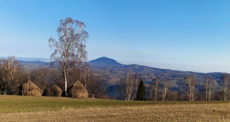 Paysage rural avec des meules de foin au toit de chaume et une montagne au loin.