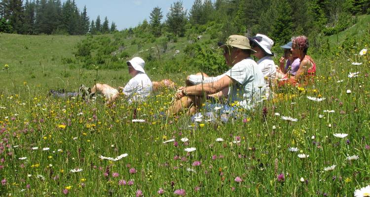 Groupe de personnes assises dans une prairie fleurie.