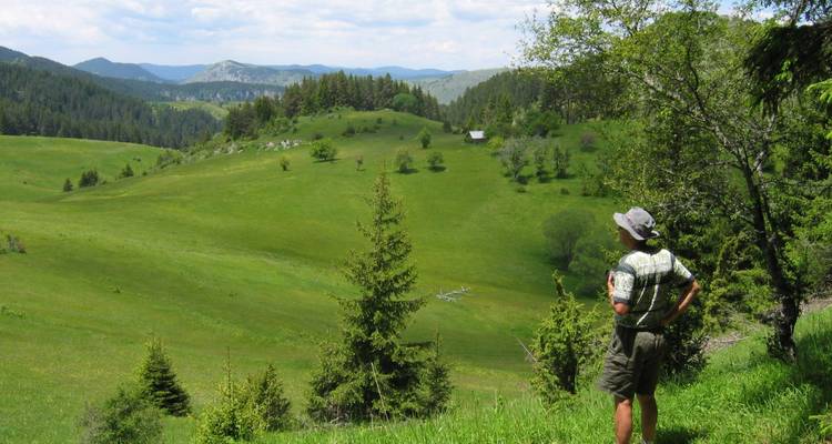 Personne regardant une vaste prairie verte avec des collines en arrière-plan.