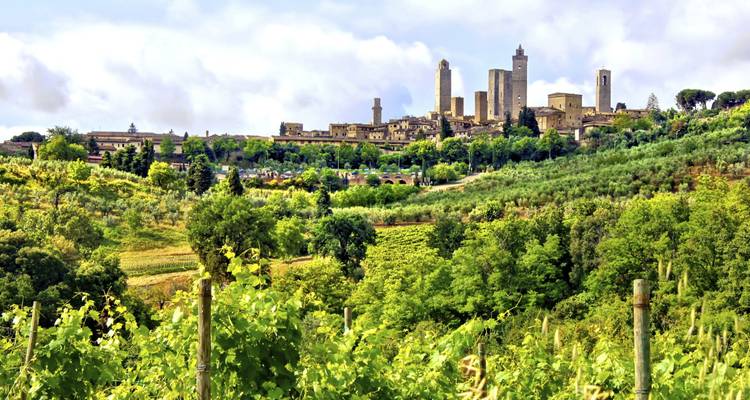 Vue de loin des tours de San Gimignano entourées de vignobles.