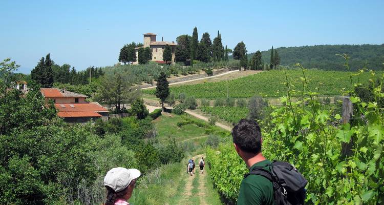 Personnes marchant sur un chemin à travers les vignobles avec une villa à l'arrière-plan.