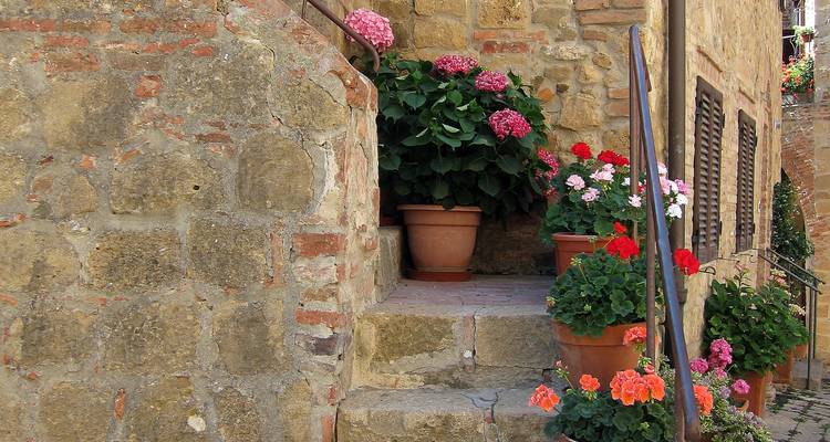 Marches en pierre avec des fleurs et des pots colorés.