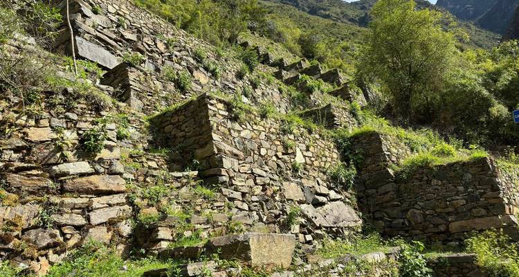 Ruines sur une colline en terrasses entourée de forêt.