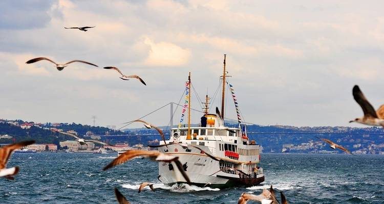 Un ferry en mer avec des mouettes qui volent autour.