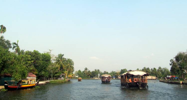 Tranquil backwaters with traditional houseboats and lush greenery.