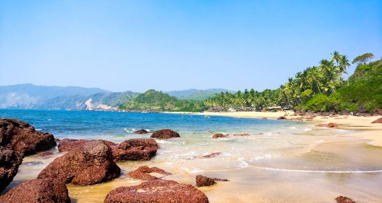 Tropical beach with clear blue waters and palm trees.