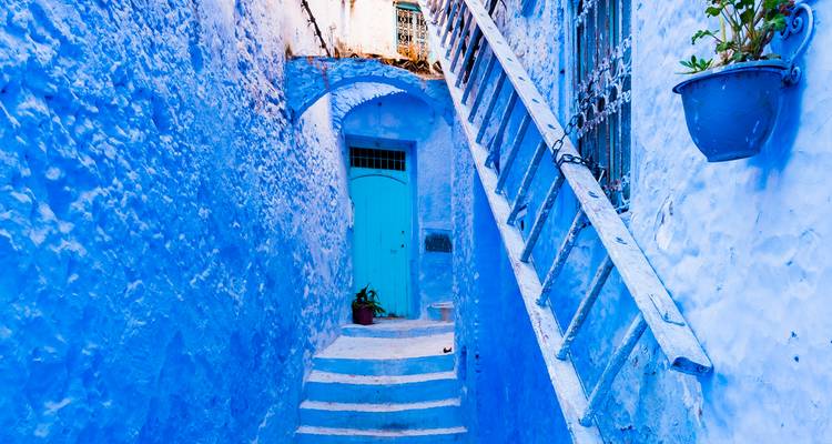 Ruelle bleu vif avec des marches, des arches et des plantes décoratives à Chefchaouen.