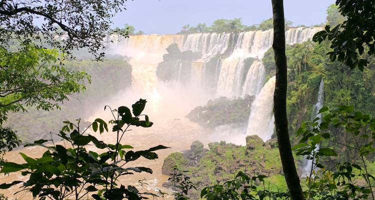 Vue de profil des chutes d'Iguazú encadrées par le feuillage de la jungle avec de l'eau boueuse qui s'écrase en contrebas.