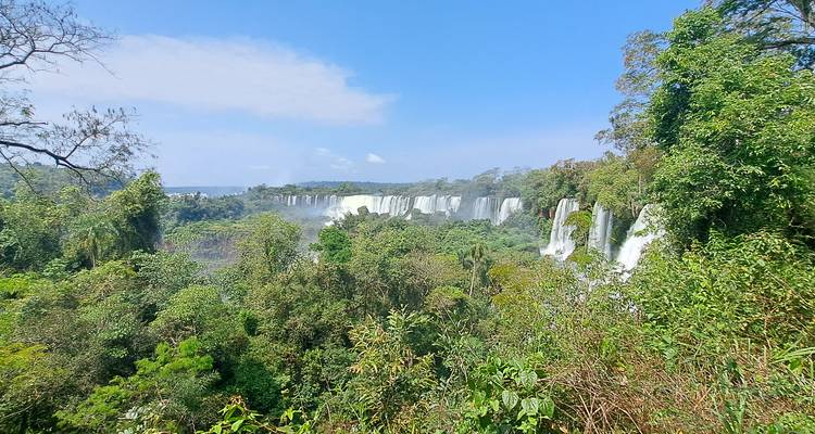Panoramisch jungle uitzicht vol met de verre witte gordijnen van Iguazú's vele watervallen.