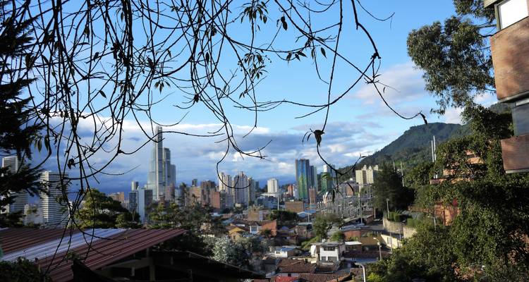Vista del horizonte de Bogotá enmarcado por enredaderas colgantes y un exuberante telón de fondo montañoso bajo un cielo azul.