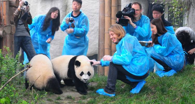 Personas interactuando con un panda.
