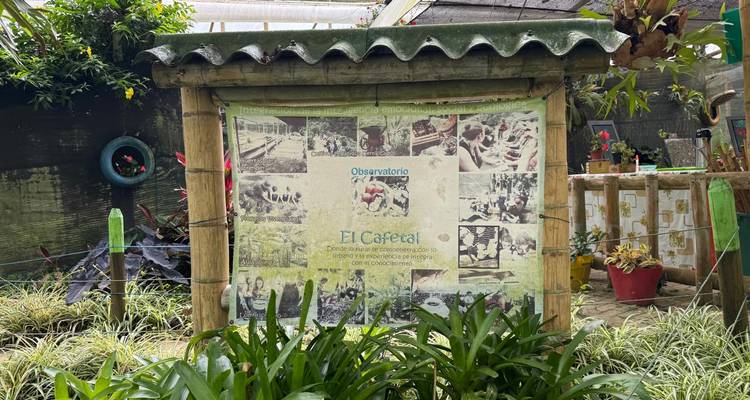 Panneau d'information sur la zone d'observation du café entourée de plantes luxuriantes dans le jardin.