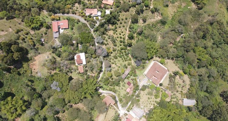 Vista aérea con dron de casas de campo dispersas, huertos y caminos sinuosos en el verde campo.