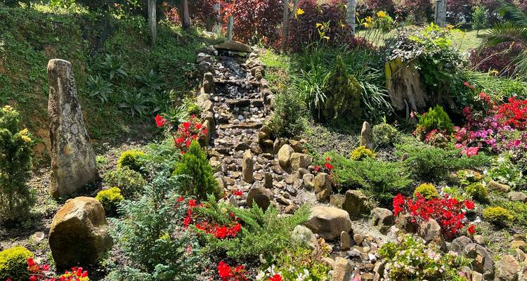 Jardín de flores coloridas con una pequeña cascada de rocas y follaje exuberante.