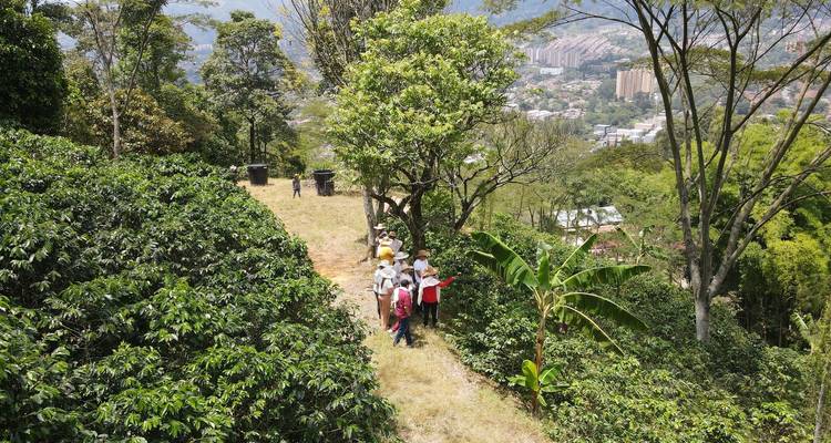 Pequeño grupo reunido en una cresta cubierta de pasto entre arbustos de café con vistas a un pueblo en el valle.
