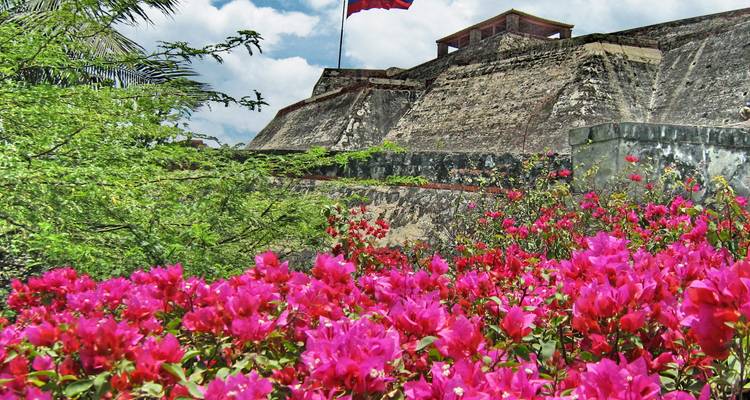 Bougainvillée rose vif devant d'imposants murs de pierre et drapeau colombien au sommet du Castillo San Felipe.