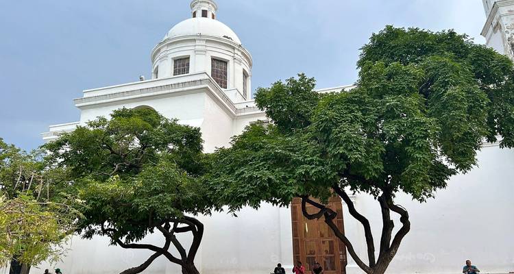 Vue latérale de la cathédrale de Santa Marta avec un dôme blanc s'élevant au-dessus d'arbres feuillus et des visiteurs à l'extérieur.