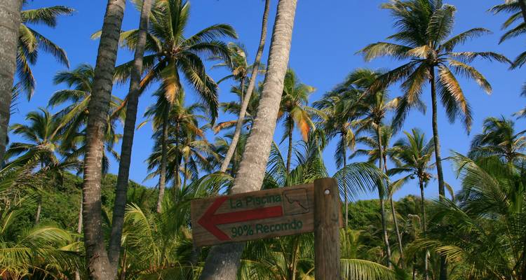 Panneau de sentier en bois pointant vers La Piscina entouré de grands cocotiers dans le Parc National Tayrona.