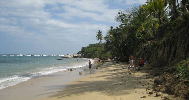 Rivage sablonneux bordé de racines de jungle où les visiteurs profitent de l'eau et explorent à Tayrona.