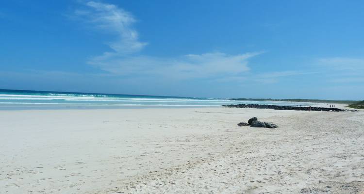 Extensa playa de arena blanca con olas suaves y cielo azul brillante en las Galápagos