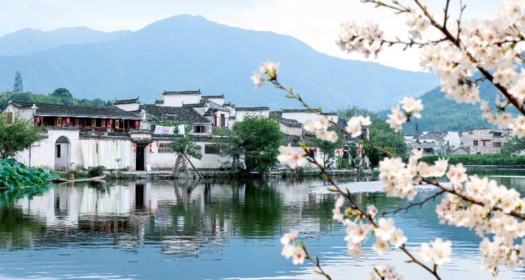 Traditionele gebouwen en bloeiende kersenbomen naast een meer.