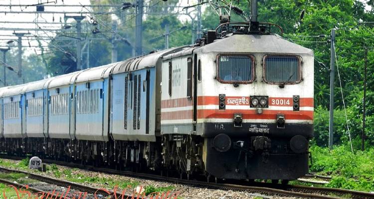 Train se déplaçant sur des rails dans une zone verdoyante luxuriante.