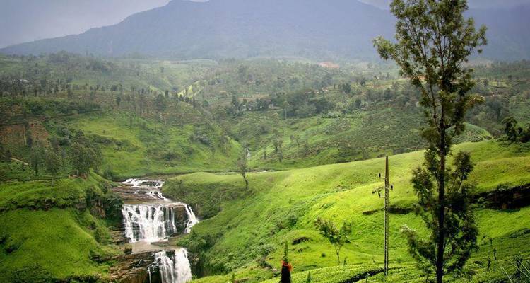 Hermoso paisaje de cascada con exuberante vegetación.