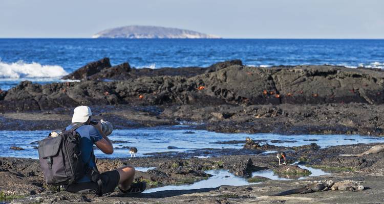 Person, die Wildtiere an einer felsigen Küste fotografiert.