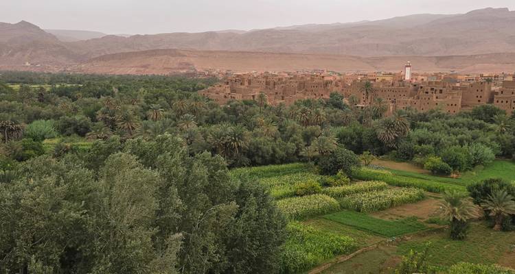 Vue panoramique sur des champs verdoyants et des palmiers menant à une ville d'adobe sous des collines désertiques brumeuses.