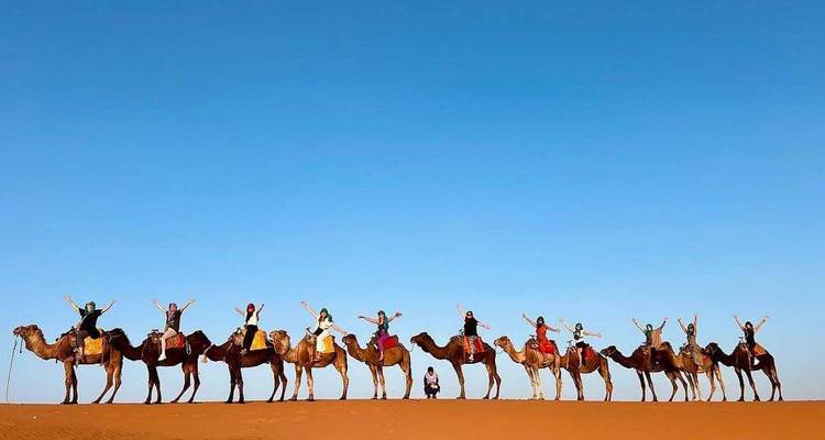 Longue file de chameaux sur la crête d'une dune avec des cavaliers levant les mains en signe de célébration sous un ciel bleu dégagé.