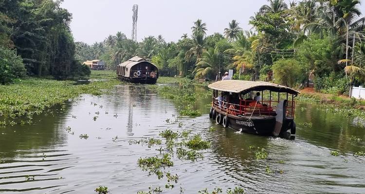 Sentiers d'épices du Kerala - Exodus Adventure Travels 8