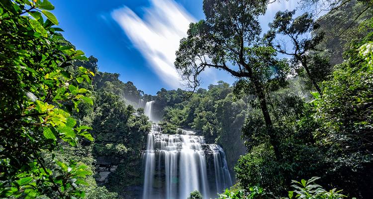 Wasserfall in einem üppigen, grünen Wald.