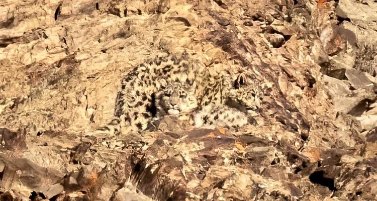 Búsqueda de leopardos de las nieves con Valerie Parkinson - Exodus Adventure Travels 1